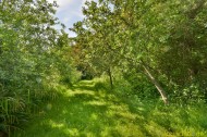 Images for Barnhorn Road, Bexhill-on-Sea, East Sussex