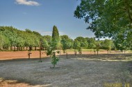 Images for Peartree Lane, Bexhill-on-Sea, East Sussex